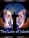pic for Lions Of Judah